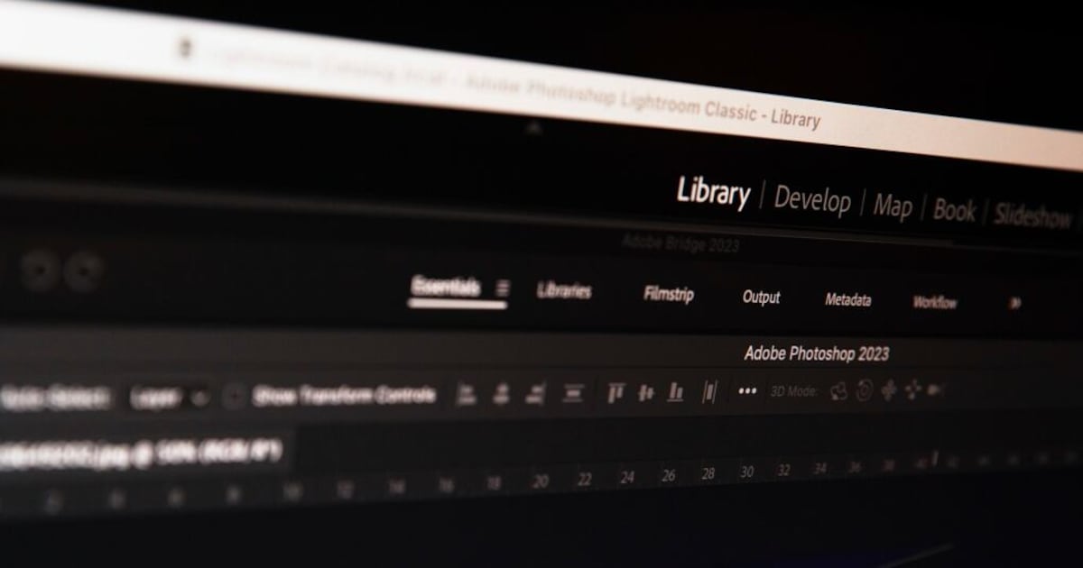 „Im Softwarebereich besteht großes Potenzial“: Vinokur