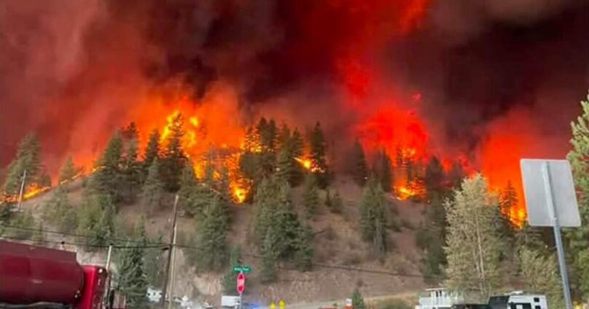 ‘There’s nothing that could have survived’: evacuee loses home of 19 years ...