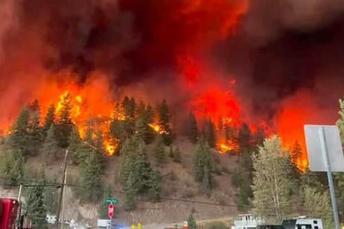 ‘There’s nothing that could have survived’: evacuee loses home of 19 years to Summerland fire
