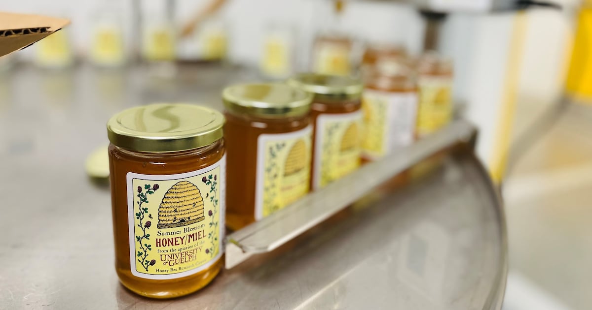 „Kanadier sind unser absolut bester Markt“: Saskatchewan Beekeepers ...
