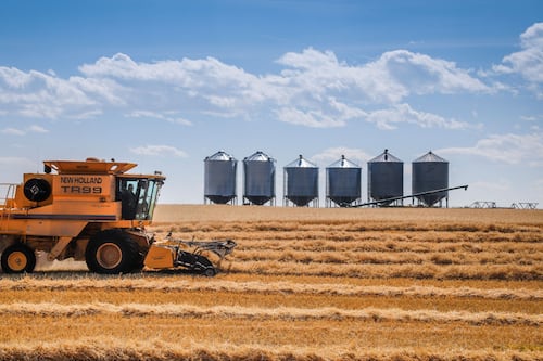 Diesel prices soar, raising the alarm for farmers as harvest approaches